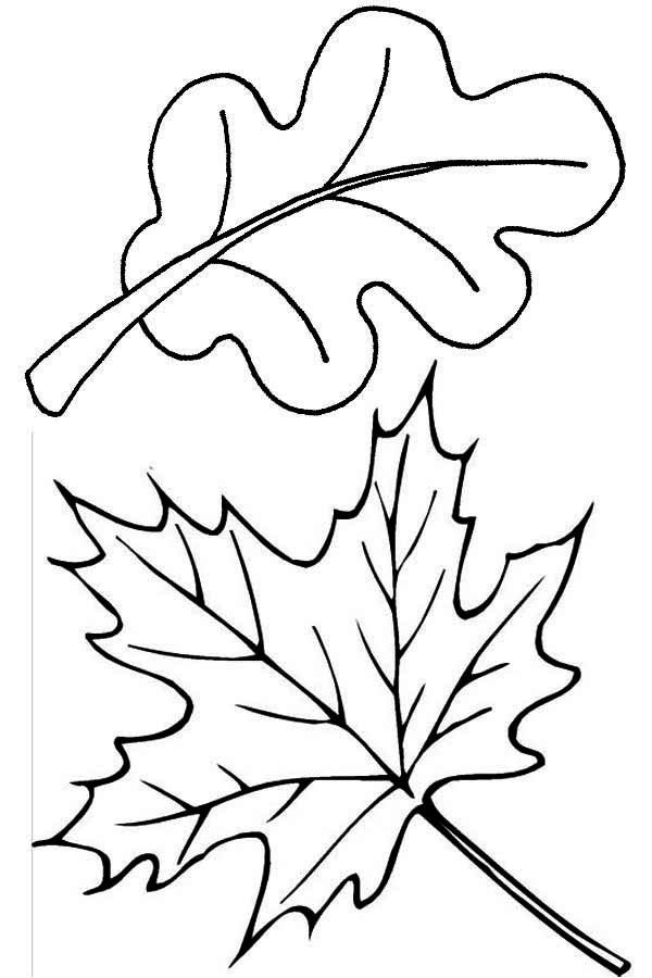 Dibujo para colorear: Temporada de Otoño (Naturaleza) #164386 - Dibujos para Colorear e Imprimir Gratis