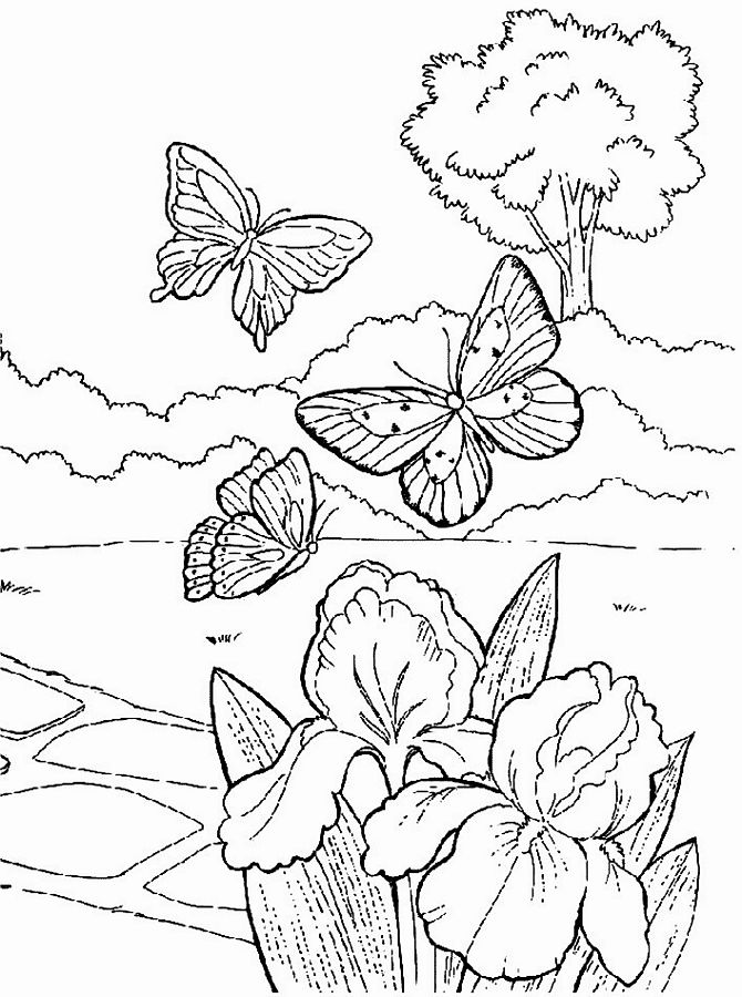 Dibujo para colorear: Temporada de Primavera (Naturaleza) #164753 - Dibujos para Colorear e Imprimir Gratis