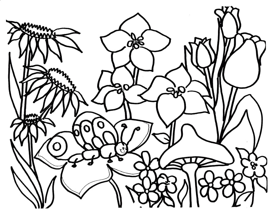 Dibujo para colorear: Temporada de Primavera (Naturaleza) #164766 - Dibujos para Colorear e Imprimir Gratis