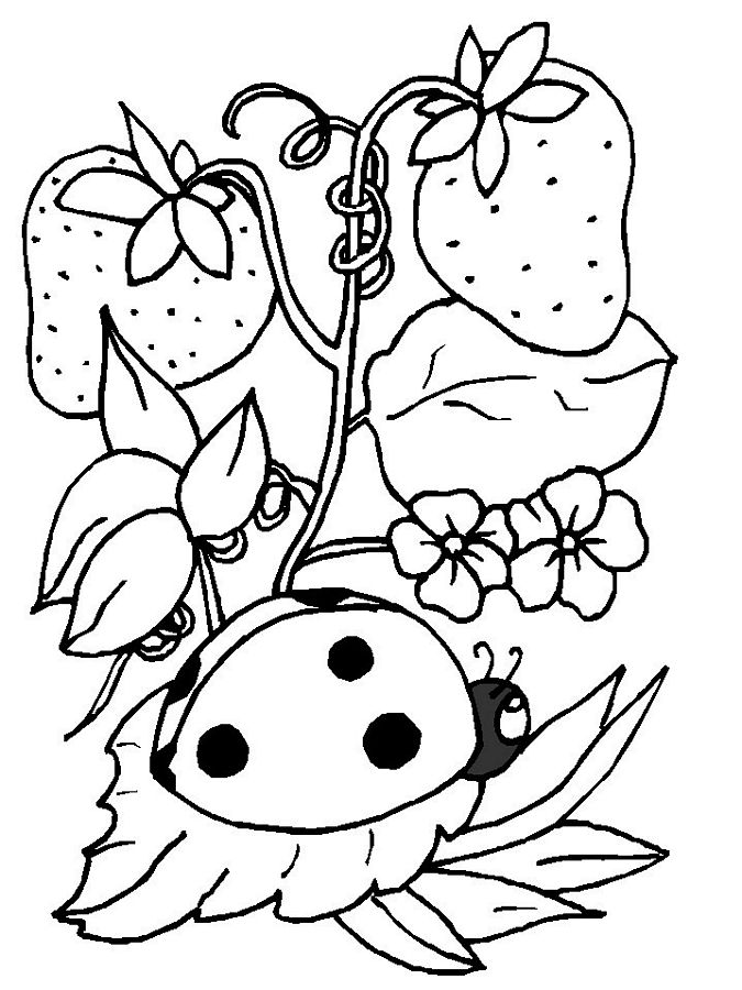 Dibujo para colorear: Temporada de Primavera (Naturaleza) #164794 - Dibujos para Colorear e Imprimir Gratis