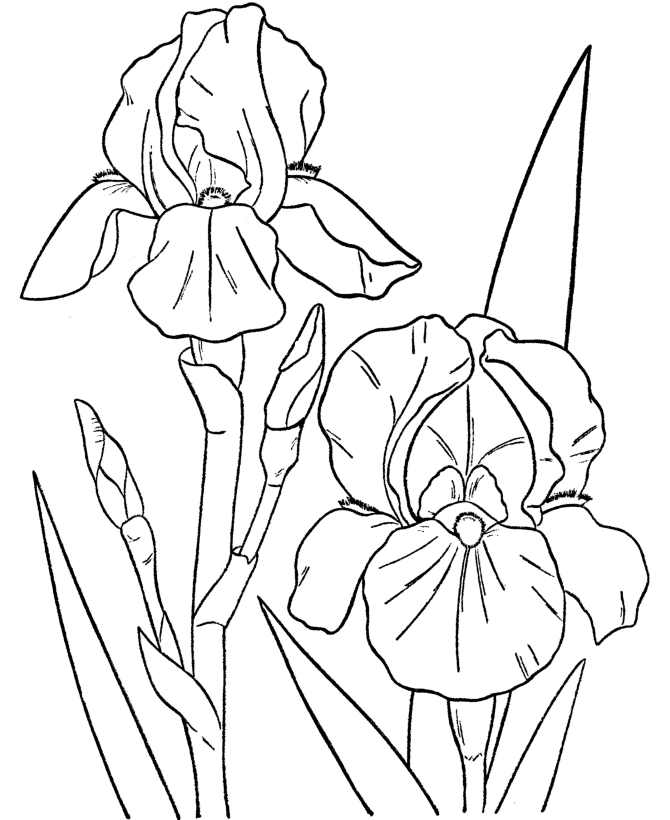 Dibujo para colorear: Temporada de Primavera (Naturaleza) #164823 - Dibujos para Colorear e Imprimir Gratis