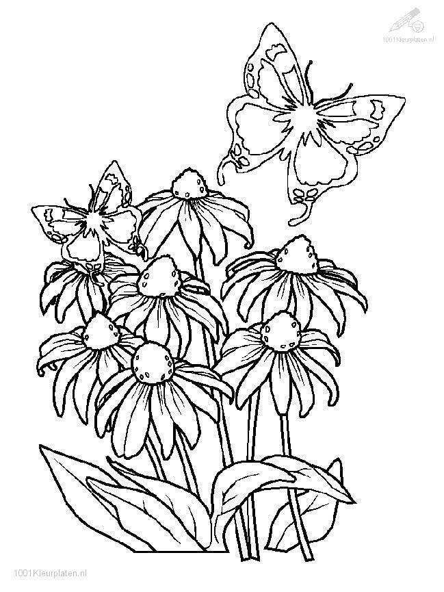 Dibujo para colorear: Temporada de Primavera (Naturaleza) #164854 - Dibujos para Colorear e Imprimir Gratis