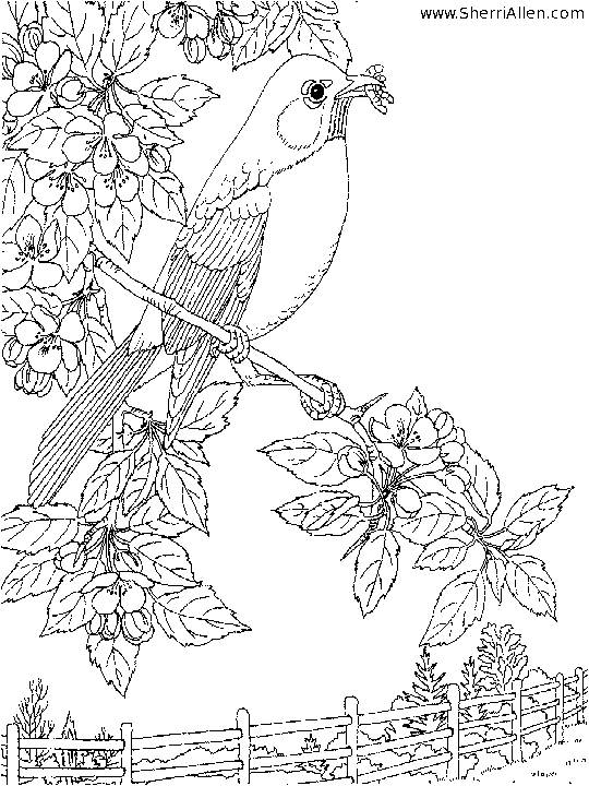 Dibujo para colorear: Temporada de Primavera (Naturaleza) #164967 - Dibujos para Colorear e Imprimir Gratis