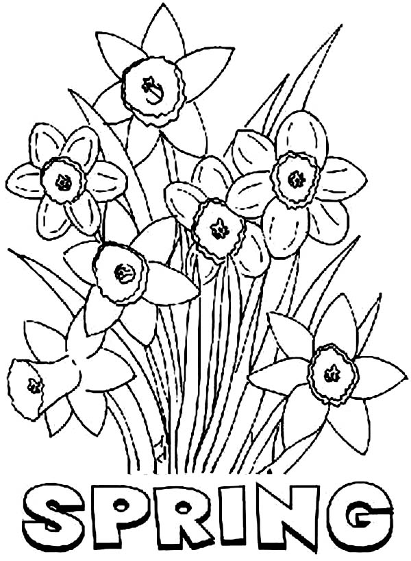 Dibujo para colorear: Temporada de Primavera (Naturaleza) #164999 - Dibujos para Colorear e Imprimir Gratis