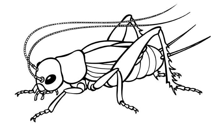 Dibujo para colorear: Temporada de Primavera (Naturaleza) #165001 - Dibujos para Colorear e Imprimir Gratis