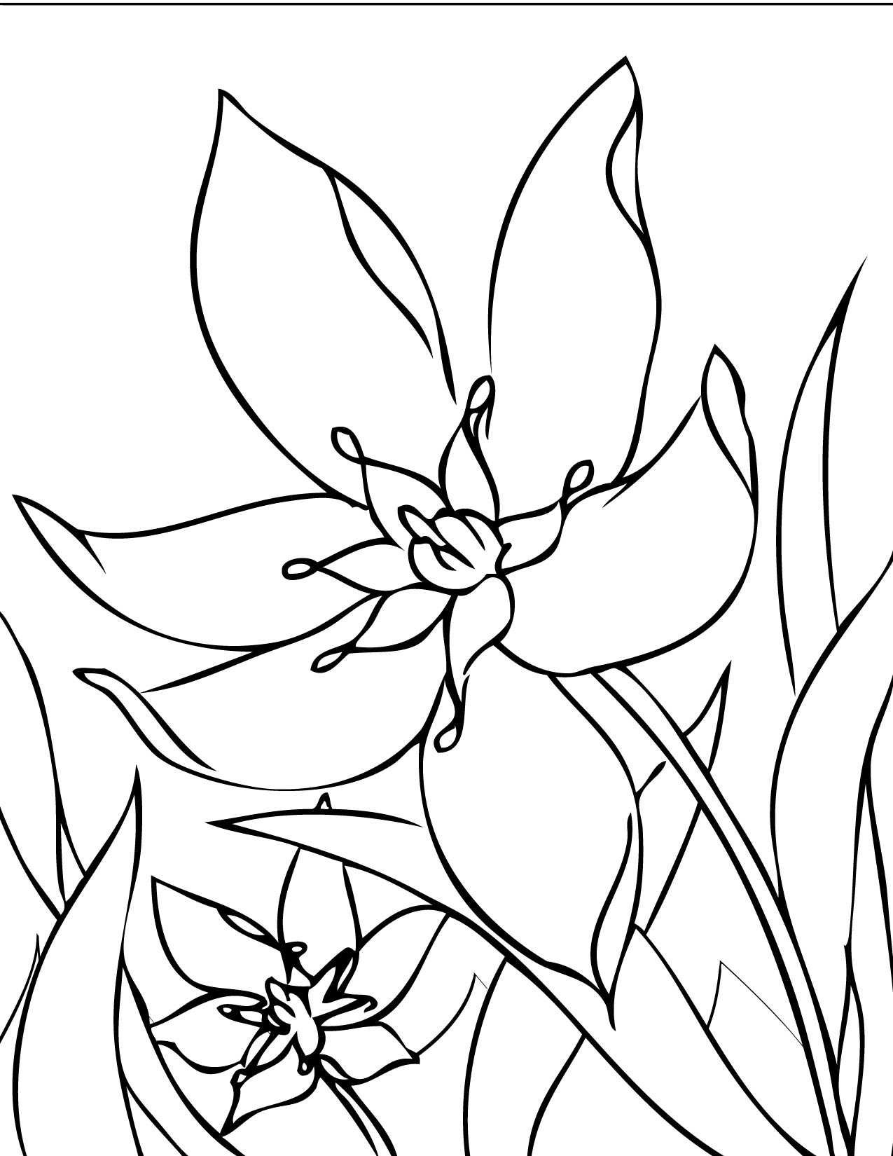 Dibujo para colorear: Temporada de Primavera (Naturaleza) #165014 - Dibujos para Colorear e Imprimir Gratis