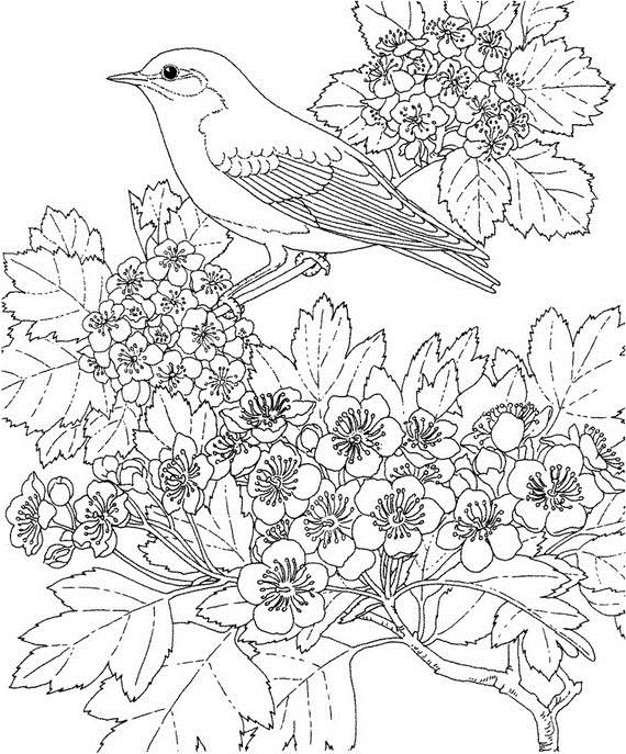 Dibujo para colorear: Temporada de Primavera (Naturaleza) #165058 - Dibujos para Colorear e Imprimir Gratis