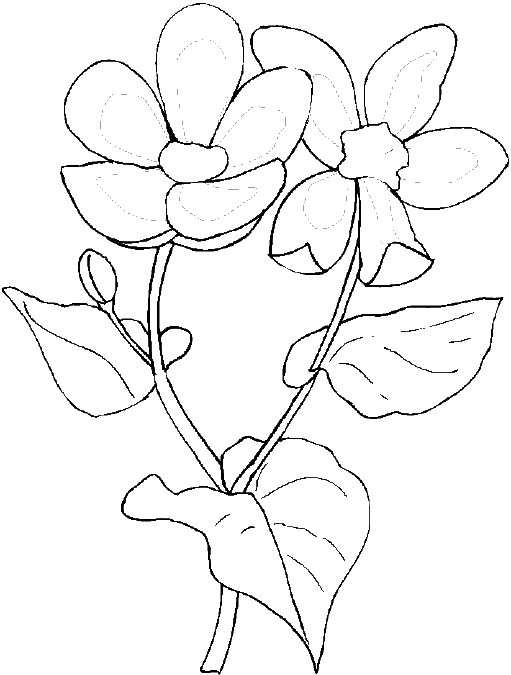 Dibujo para colorear: Temporada de Primavera (Naturaleza) #165076 - Dibujos para Colorear e Imprimir Gratis