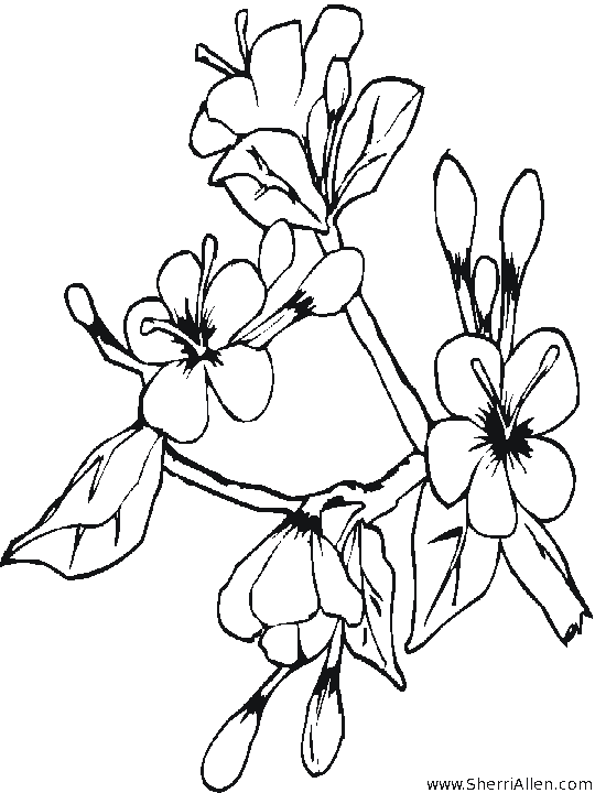 Dibujo para colorear: Temporada de Primavera (Naturaleza) #165094 - Dibujos para Colorear e Imprimir Gratis