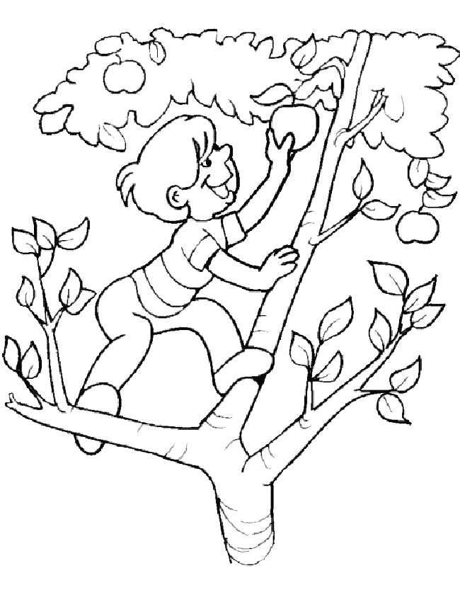 Dibujo para colorear: Temporada de Verano (Naturaleza) #165236 - Dibujos para Colorear e Imprimir Gratis