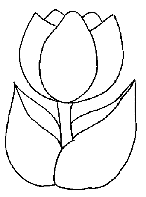 Dibujo para colorear: Tulipán (Naturaleza) #161621 - Dibujos para Colorear e Imprimir Gratis