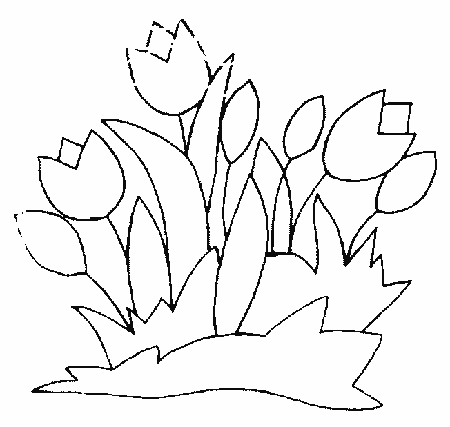 Dibujo para colorear: Tulipán (Naturaleza) #161624 - Dibujos para Colorear e Imprimir Gratis