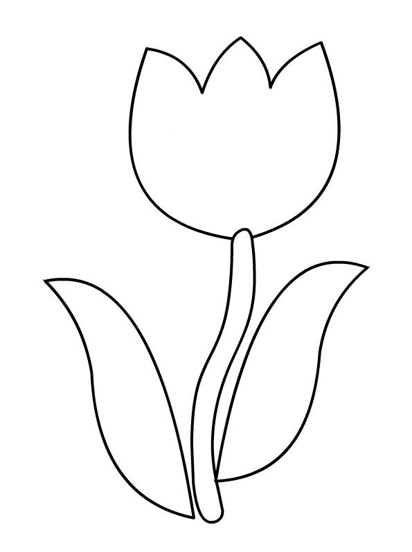 Dibujos de Tulipán (Naturaleza) para colorear – Page 3 – Páginas  imprimibles gratis