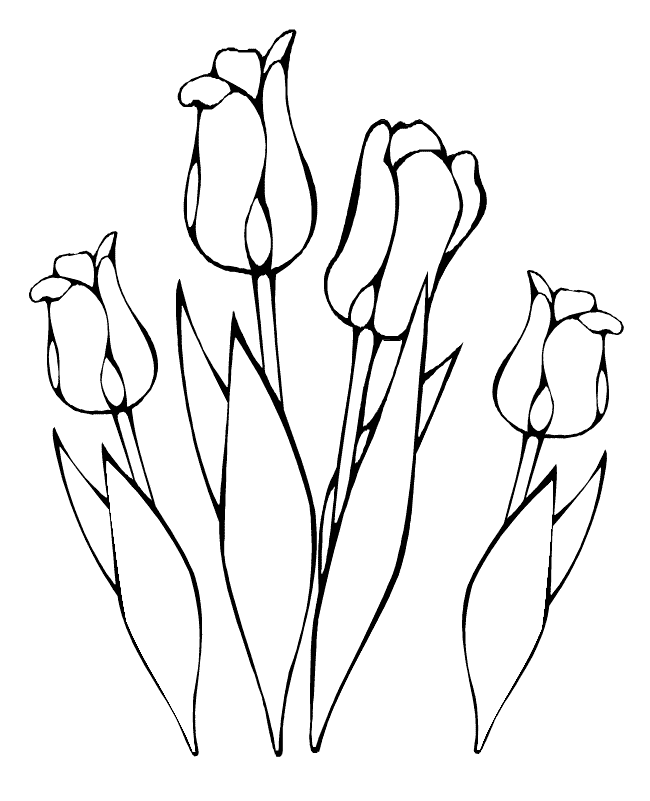 Dibujo para colorear: Tulipán (Naturaleza) #161632 - Dibujos para Colorear e Imprimir Gratis