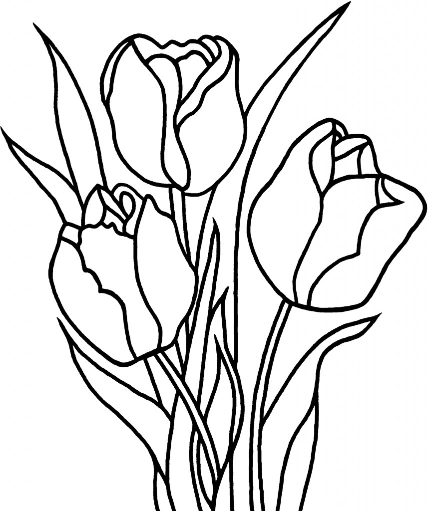 Dibujo para colorear: Tulipán (Naturaleza) #161634 - Dibujos para Colorear e Imprimir Gratis