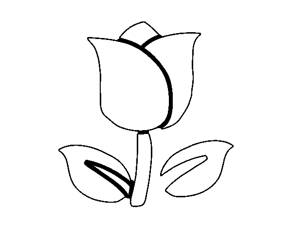 Dibujo para colorear: Tulipán (Naturaleza) #161638 - Dibujos para Colorear e Imprimir Gratis
