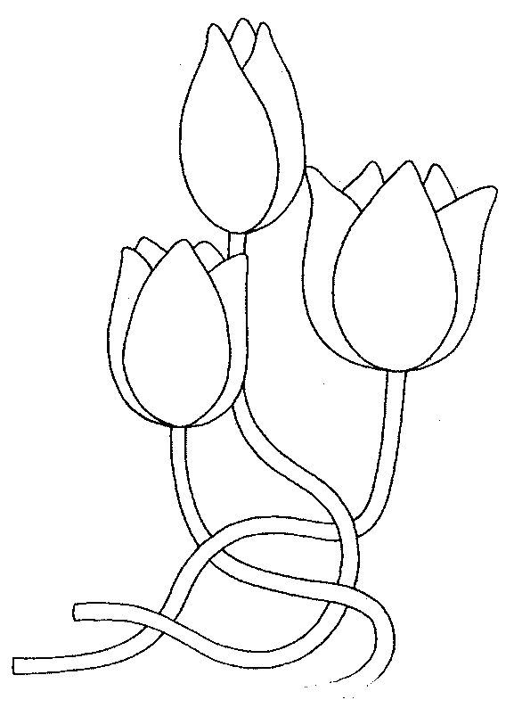 Dibujo para colorear: Tulipán (Naturaleza) #161639 - Dibujos para Colorear e Imprimir Gratis