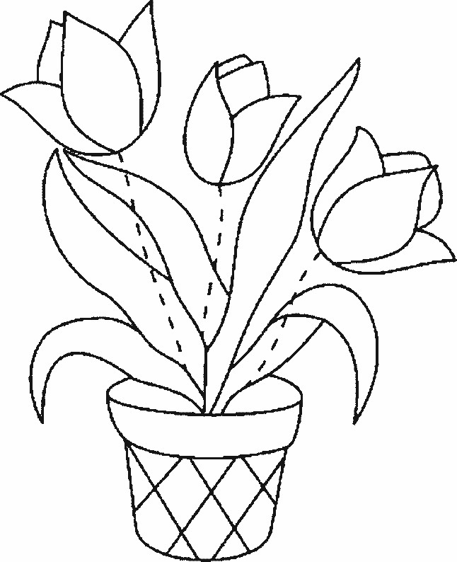 Dibujo para colorear: Tulipán (Naturaleza) #161656 - Dibujos para Colorear e Imprimir Gratis