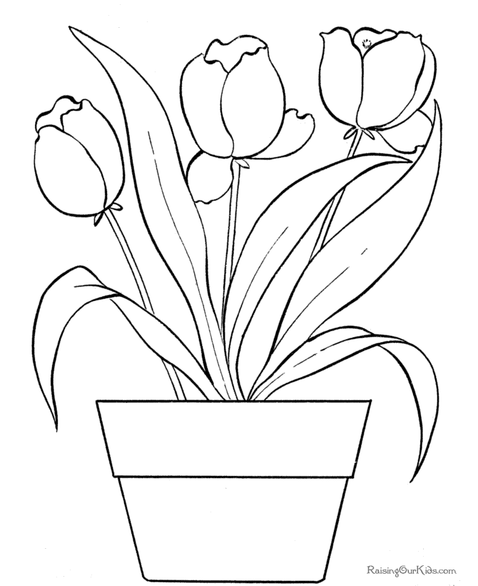 Dibujo para colorear: Tulipán (Naturaleza) #161661 - Dibujos para Colorear e Imprimir Gratis