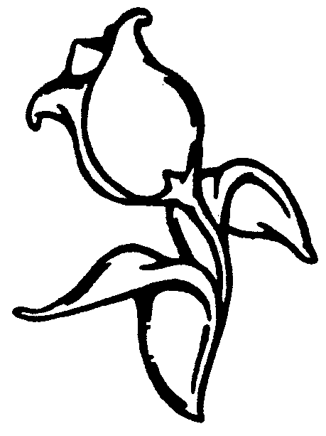 Dibujo para colorear: Tulipán (Naturaleza) #161672 - Dibujos para Colorear e Imprimir Gratis