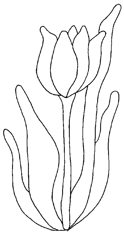 Dibujo para colorear: Tulipán (Naturaleza) #161677 - Dibujos para Colorear e Imprimir Gratis