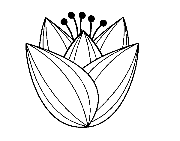 Dibujo para colorear: Tulipán (Naturaleza) #161681 - Dibujos para Colorear e Imprimir Gratis