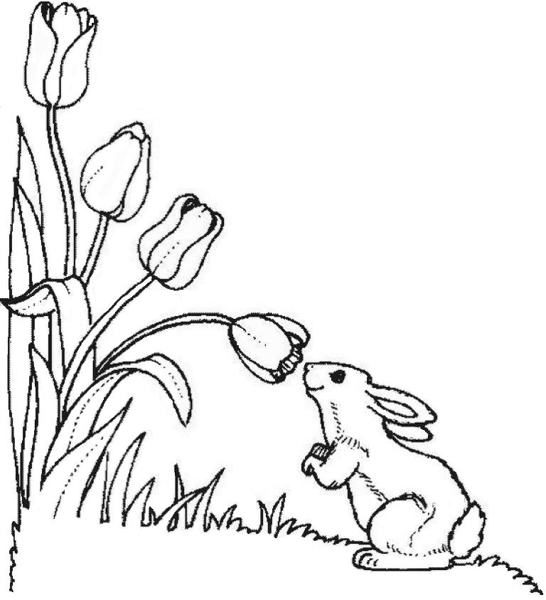 Dibujo para colorear: Tulipán (Naturaleza) #161693 - Dibujos para Colorear e Imprimir Gratis