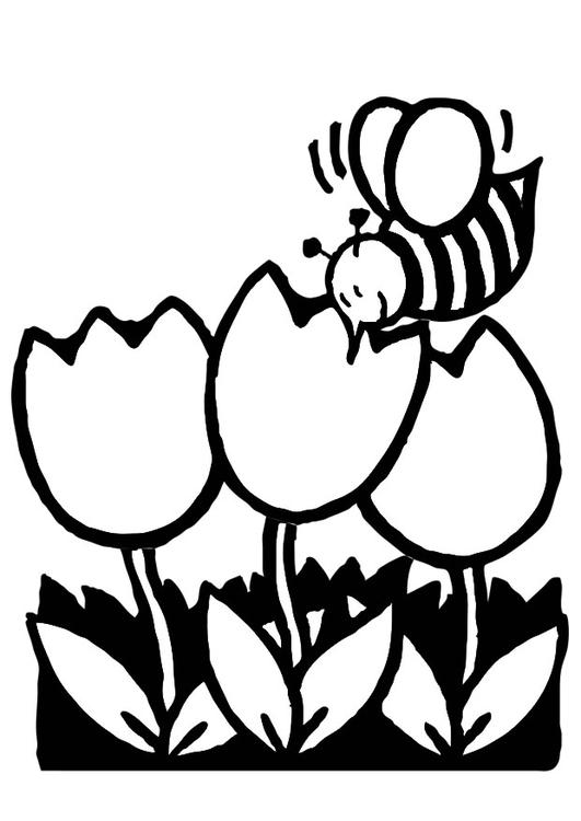 Dibujo para colorear: Tulipán (Naturaleza) #161694 - Dibujos para Colorear e Imprimir Gratis