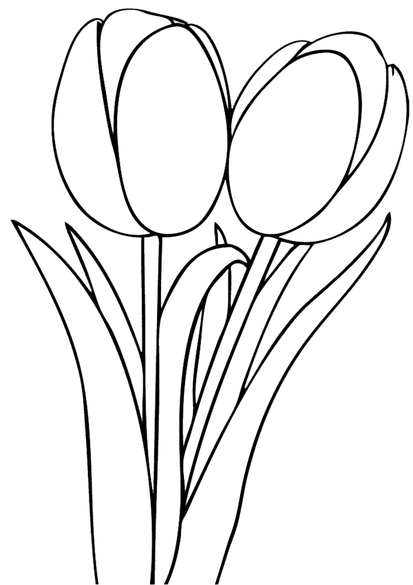 Dibujo para colorear: Tulipán (Naturaleza) #161700 - Dibujos para Colorear e Imprimir Gratis
