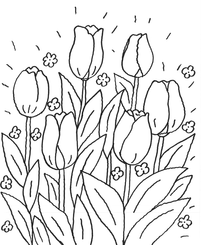 Dibujo para colorear: Tulipán (Naturaleza) #161702 - Dibujos para Colorear e Imprimir Gratis