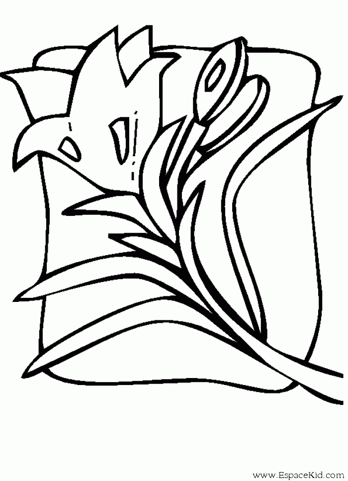 Dibujo para colorear: Tulipán (Naturaleza) #161703 - Dibujos para Colorear e Imprimir Gratis