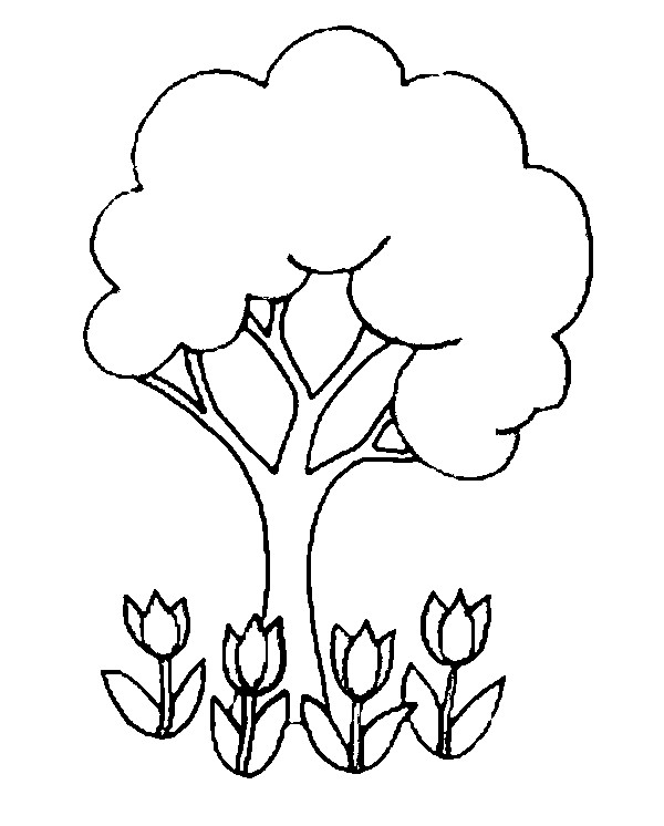 Dibujo para colorear: Tulipán (Naturaleza) #161705 - Dibujos para Colorear e Imprimir Gratis