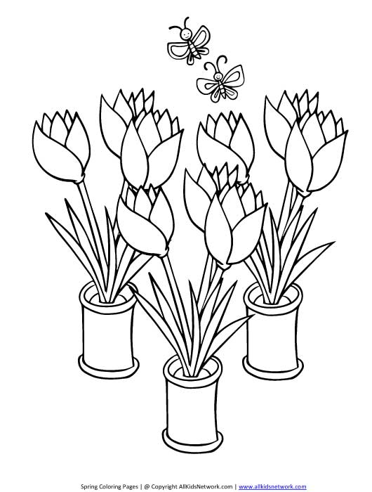 Dibujo para colorear: Tulipán (Naturaleza) #161714 - Dibujos para Colorear e Imprimir Gratis
