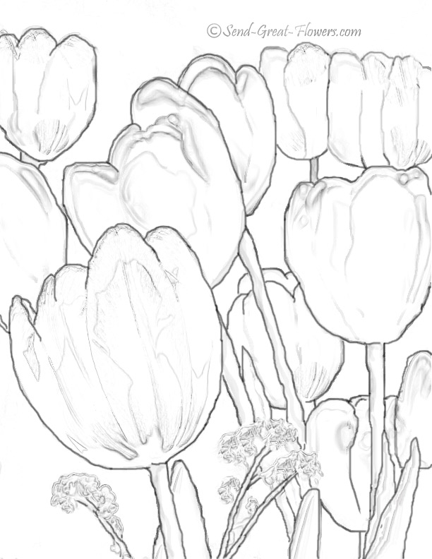 Dibujo para colorear: Tulipán (Naturaleza) #161750 - Dibujos para Colorear e Imprimir Gratis