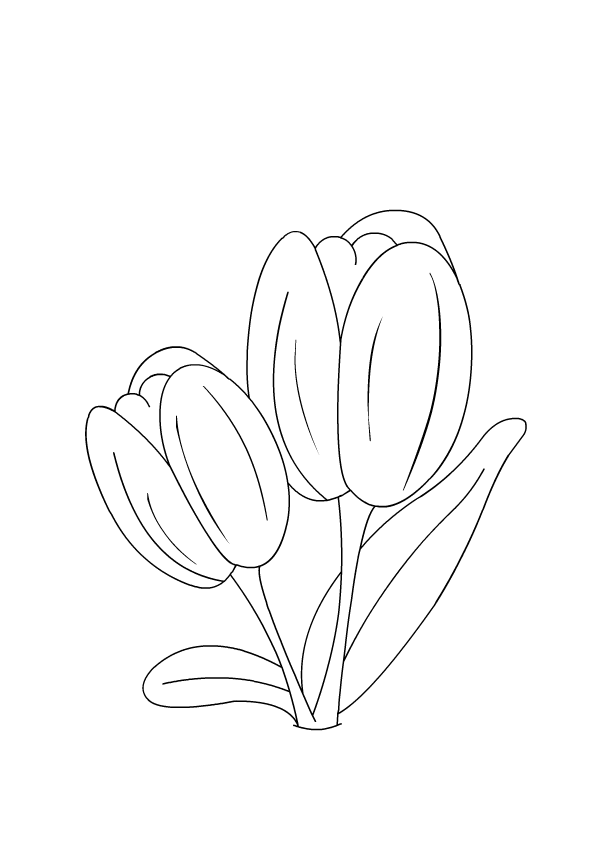 Dibujo para colorear: Tulipán (Naturaleza) #161756 - Dibujos para Colorear e Imprimir Gratis