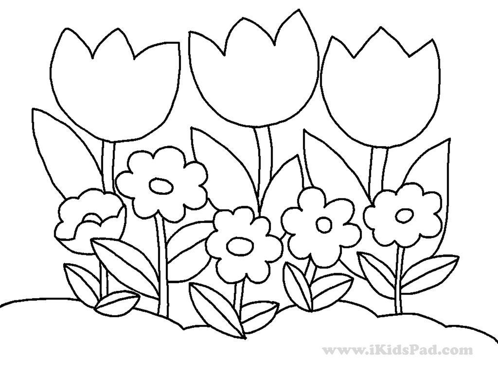 Dibujo para colorear: Tulipán (Naturaleza) #161758 - Dibujos para Colorear e Imprimir Gratis