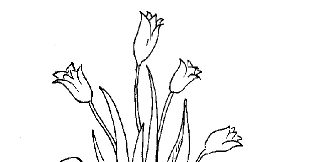 Dibujo para colorear: Tulipán (Naturaleza) #161761 - Dibujos para Colorear e Imprimir Gratis