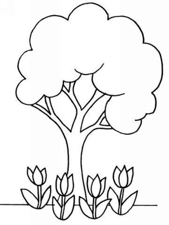 Dibujo para colorear: Tulipán (Naturaleza) #161772 - Dibujos para Colorear e Imprimir Gratis