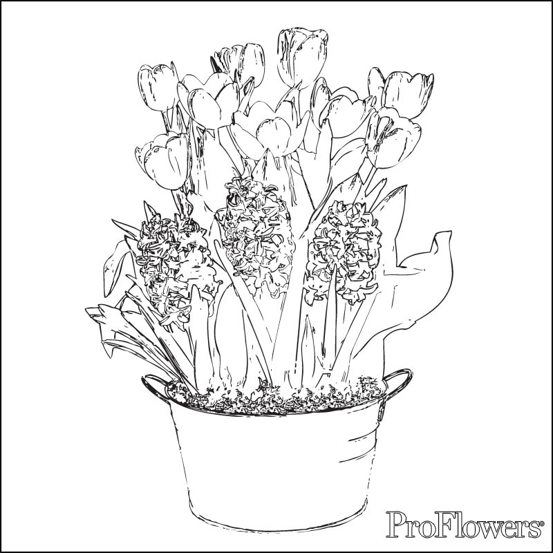 Dibujo para colorear: Tulipán (Naturaleza) #161792 - Dibujos para Colorear e Imprimir Gratis