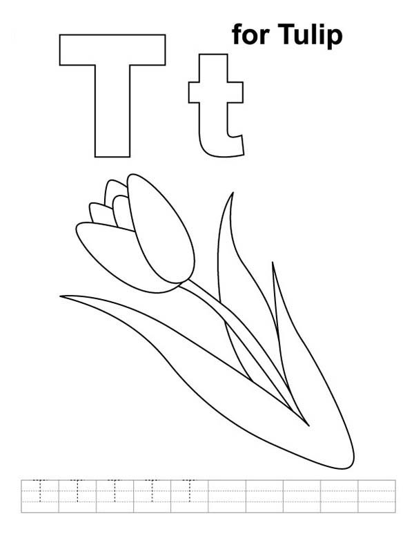 Dibujo para colorear: Tulipán (Naturaleza) #161796 - Dibujos para Colorear e Imprimir Gratis