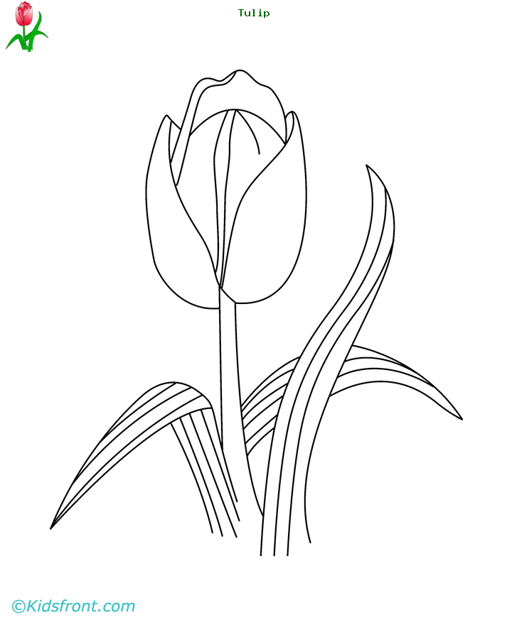 Dibujo para colorear: Tulipán (Naturaleza) #161797 - Dibujos para Colorear e Imprimir Gratis