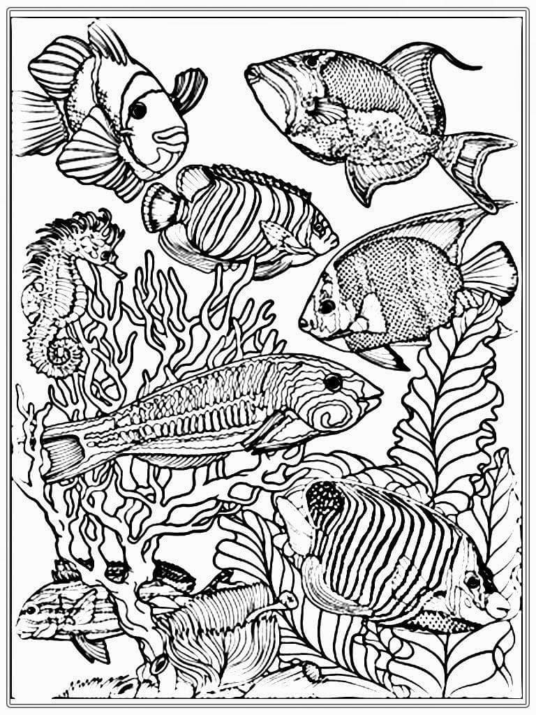 Dibujo gratuito Acuario #184556 de la coleccion Objetos para imprimir Dibujo gratuito Acuario #184556 de la coleccion Objetos para imprimir