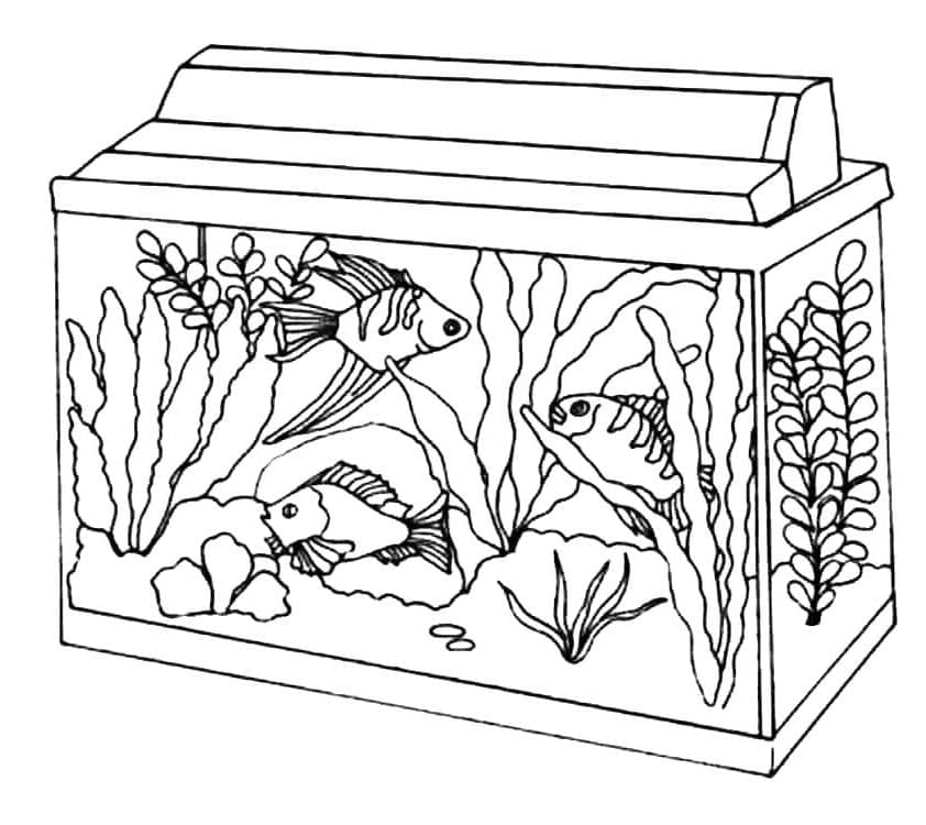 Dibujo gratuito Acuario #184565 de la coleccion Objetos para imprimir