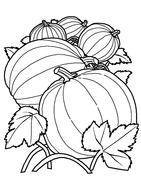 Dibujo para colorear: Calabaza (Objetos) #166946 - Dibujos para Colorear e Imprimir Gratis