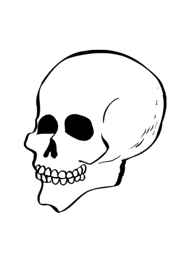 Dibujo gratuito Calavera #204923 de la coleccion Objetos para imprimir