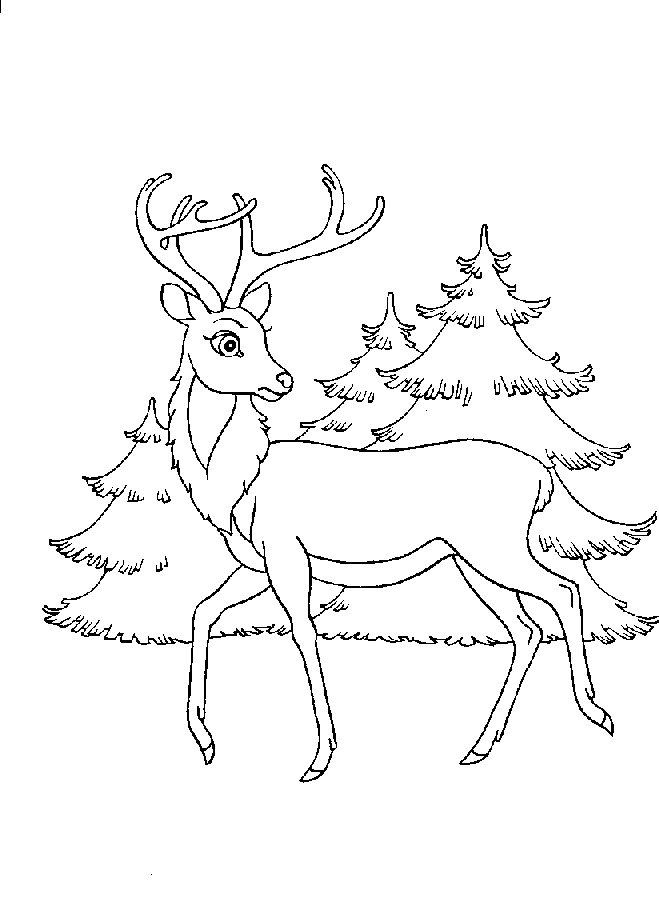 Dibujo para colorear: Bambi (Películas de animación) #128542 - Dibujos para Colorear e Imprimir Gratis