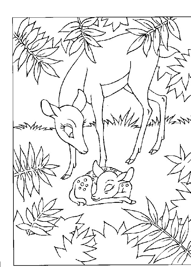 Dibujo para colorear: Bambi (Películas de animación) #128553 - Dibujos para Colorear e Imprimir Gratis