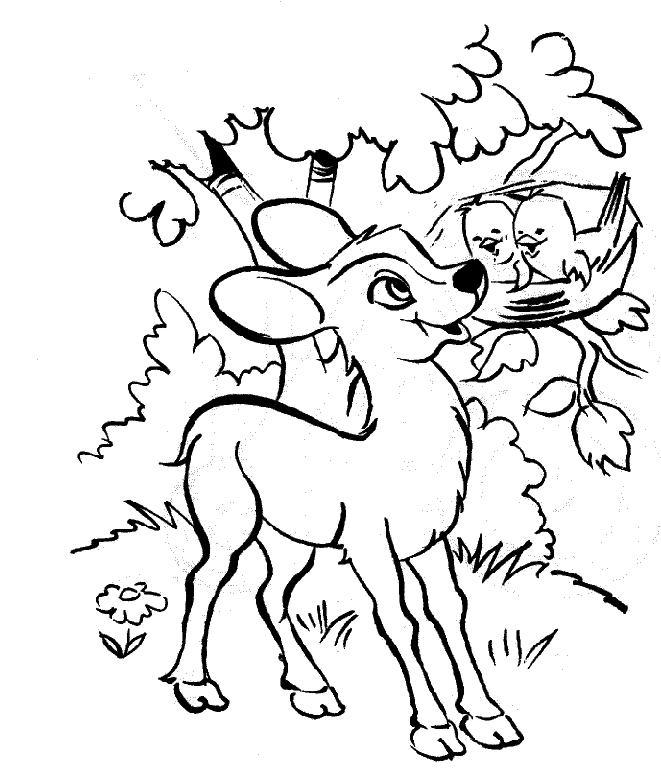 Dibujo para colorear: Bambi (Películas de animación) #128566 - Dibujos para Colorear e Imprimir Gratis