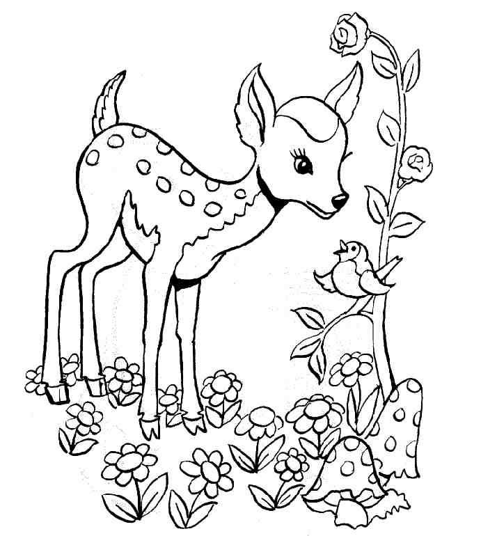 Dibujo para colorear: Bambi (Películas de animación) #128657 - Dibujos para Colorear e Imprimir Gratis