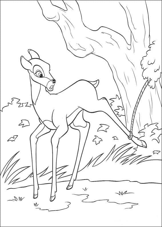 Dibujo gratuito Bambi #184663 de la coleccion Películas de Animación para imprimir